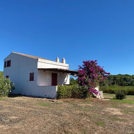 Casa Bianchi - Villa Immersa Nel Verde Carloforte  Luaran gambar