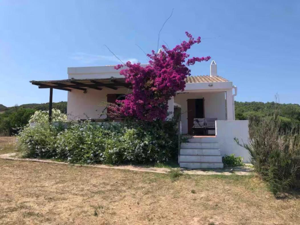 Casa Bianchi - Villa Immersa Nel Verde Carloforte  Luaran gambar