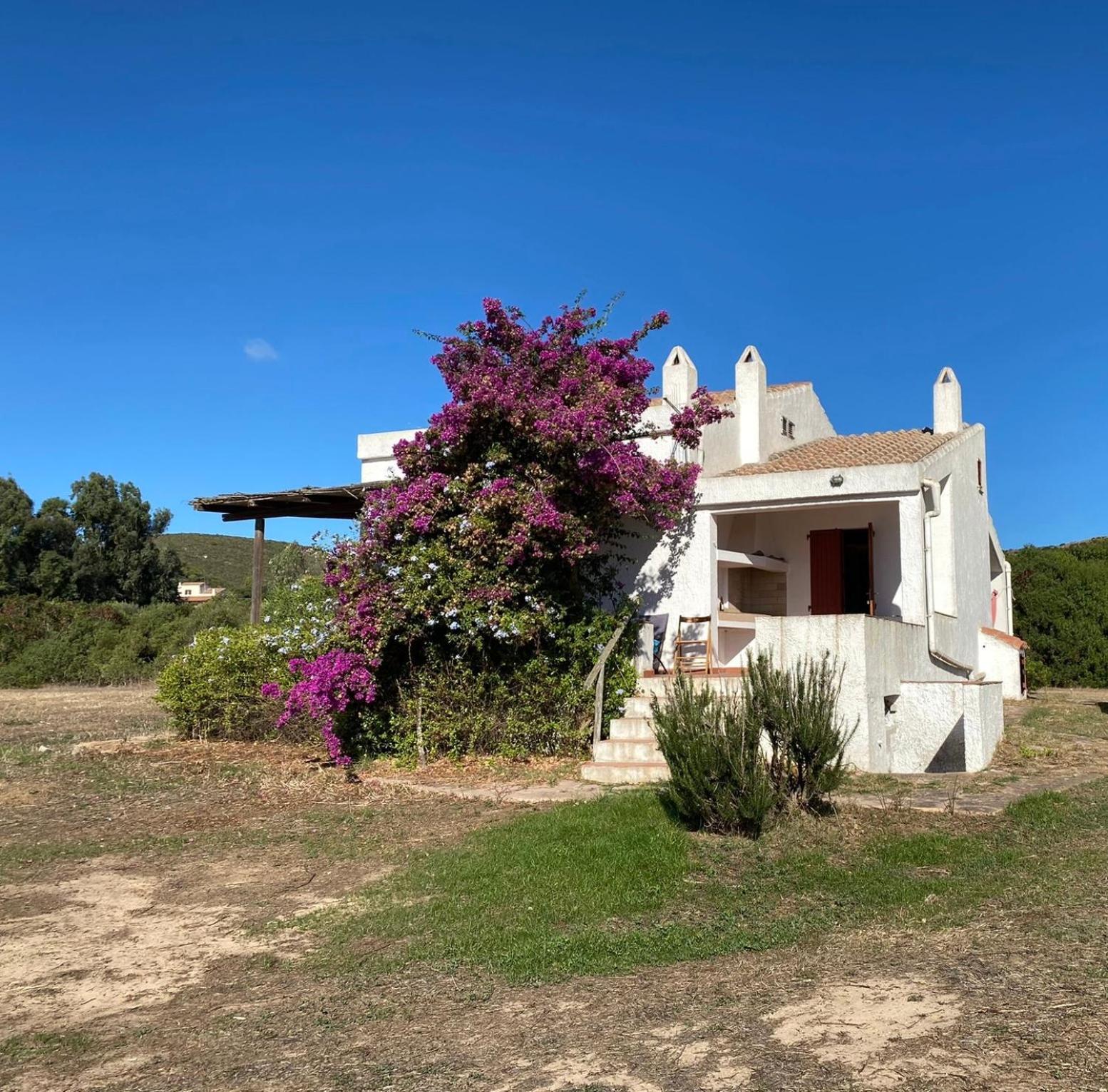 Casa Bianchi - Villa Immersa Nel Verde Carloforte  Luaran gambar