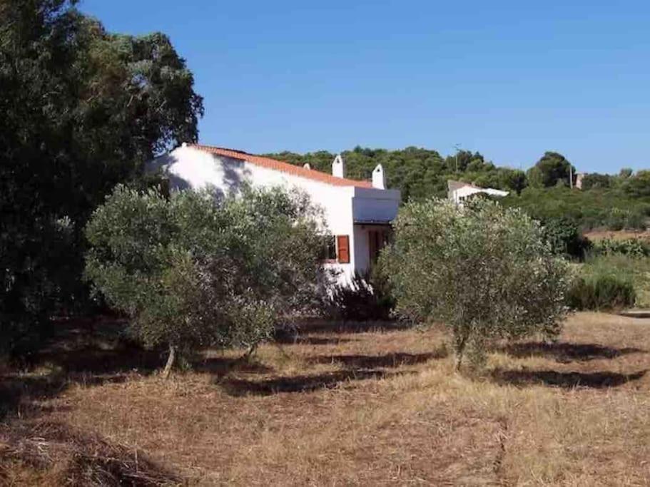 Casa Bianchi - Villa Immersa Nel Verde Carloforte  Luaran gambar